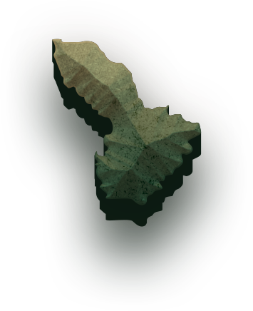 Summit County